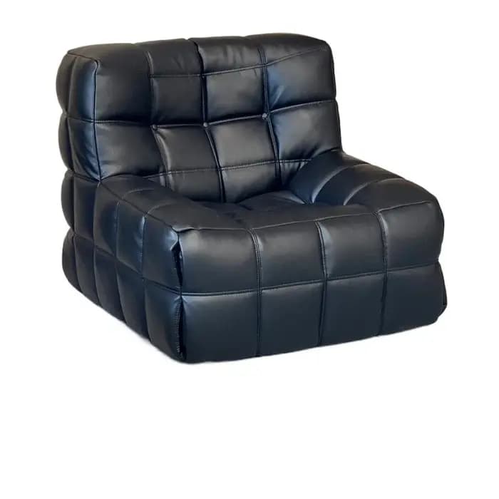 Chaises modernes de luxe Design de Salon