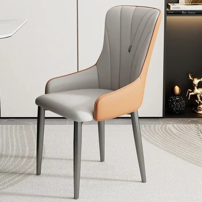 Ensemble de 2 chaises de salle à manger de luxe rembourrées, confortables, modernes, design nordique