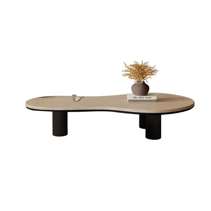 Design Unique Table Basse à la mode salon éclectique minimaliste Table Basse moderne Wabi Sabi Table