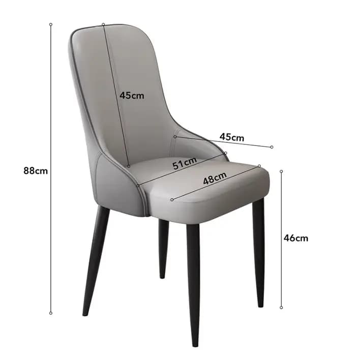 Ensemble de 2 chaises de salle à manger uniques