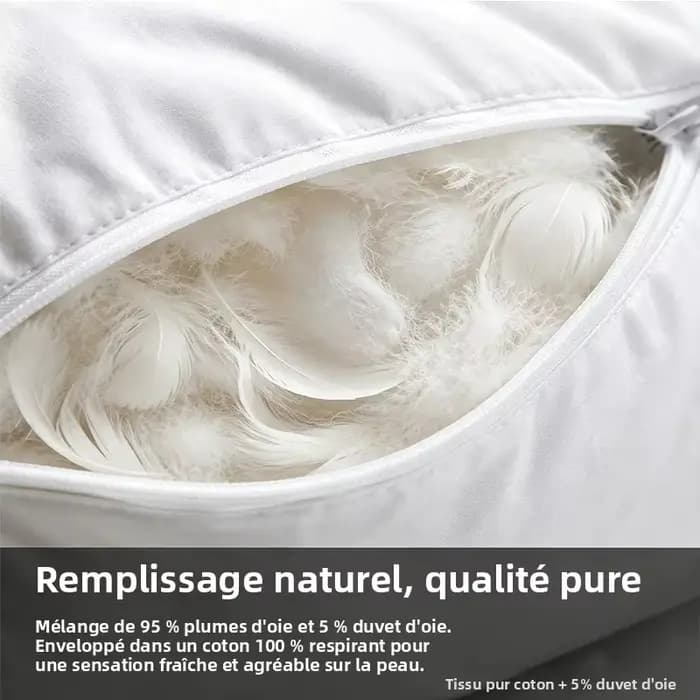 40x60 50x70 45x70cm 100% coton duvet d'oie oreiller dossier siège canapé chaise assise taille repose-pieds lit coussin coussin oreiller remplissage