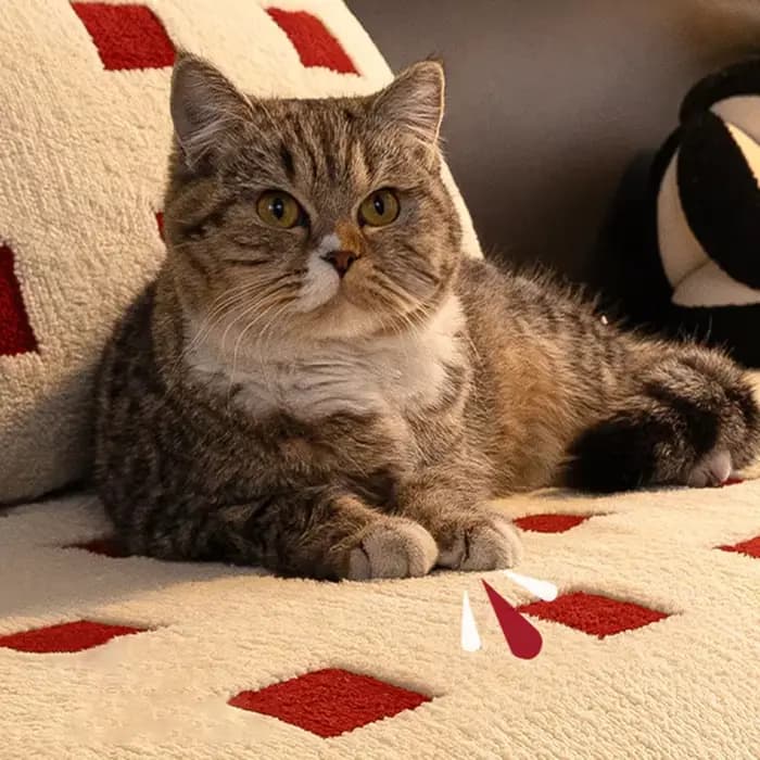 Coussin de canapé en peluche à carreaux irréguliers