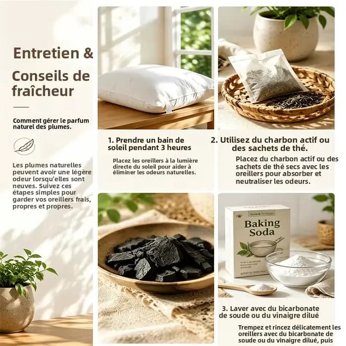 40x60 50x70 45x70cm 100% coton duvet d'oie oreiller dossier siège canapé chaise assise taille repose-pieds lit coussin coussin oreiller remplissage