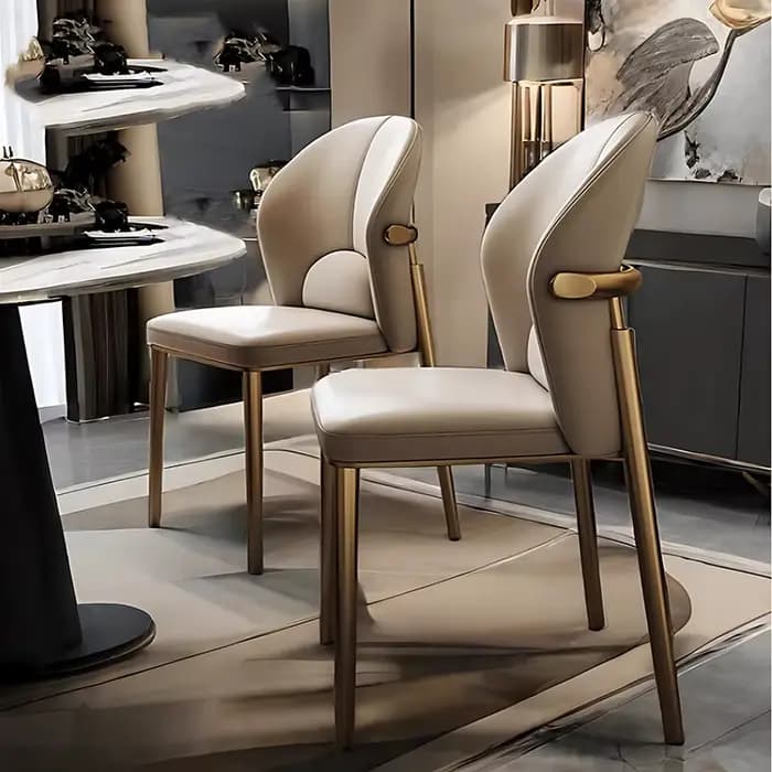 Ensemble de 2 chaises de salle à manger simples et uniques