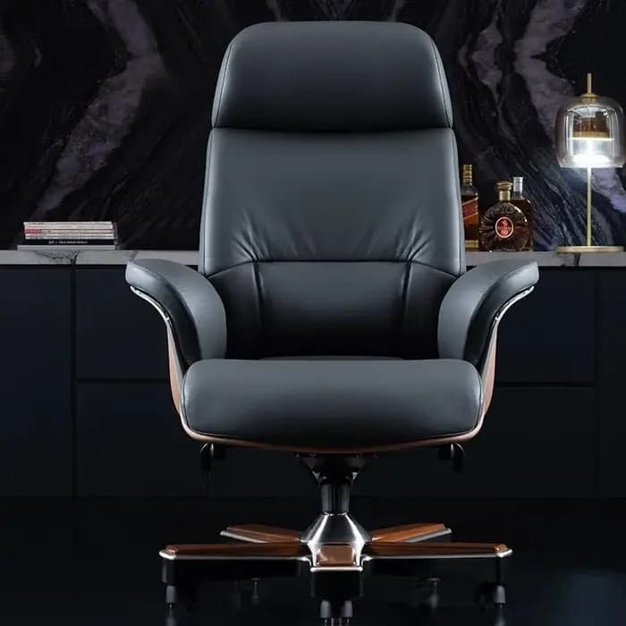 Chaise De rangement De luxe moderne ergonomique Salon esthétique