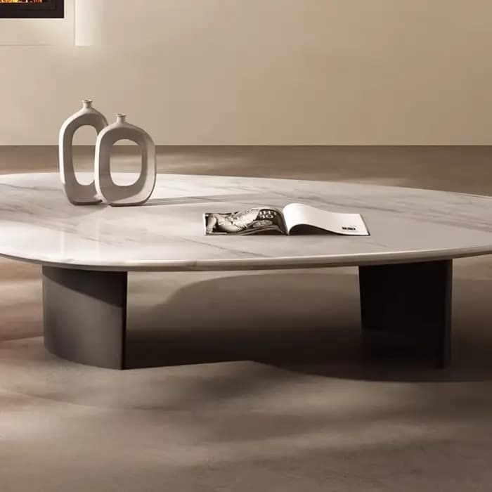 Table basse de salon moderne et élégante avec rangement intégré