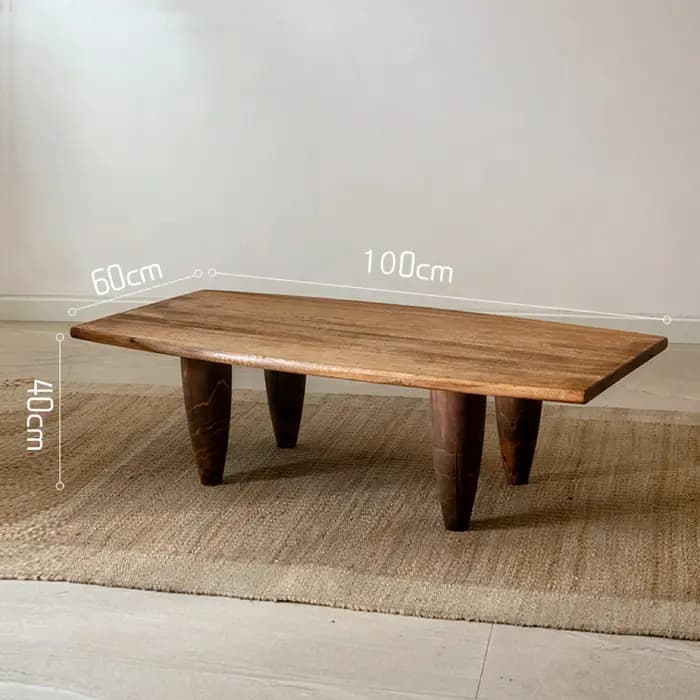 Table basse minimaliste du milieu du siècle, rectangulaire de luxe, esthétique, pour salon, Glamour,