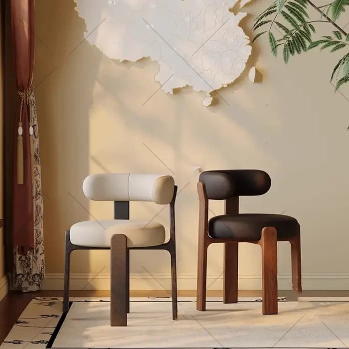 Ensemble de 2 chaises de salle à manger Vintage