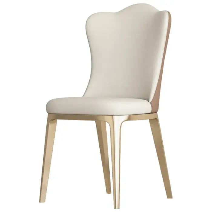 Chaise de salle à manger individuelle pour adulte, design minimaliste et luxueux, pour salle d'atten