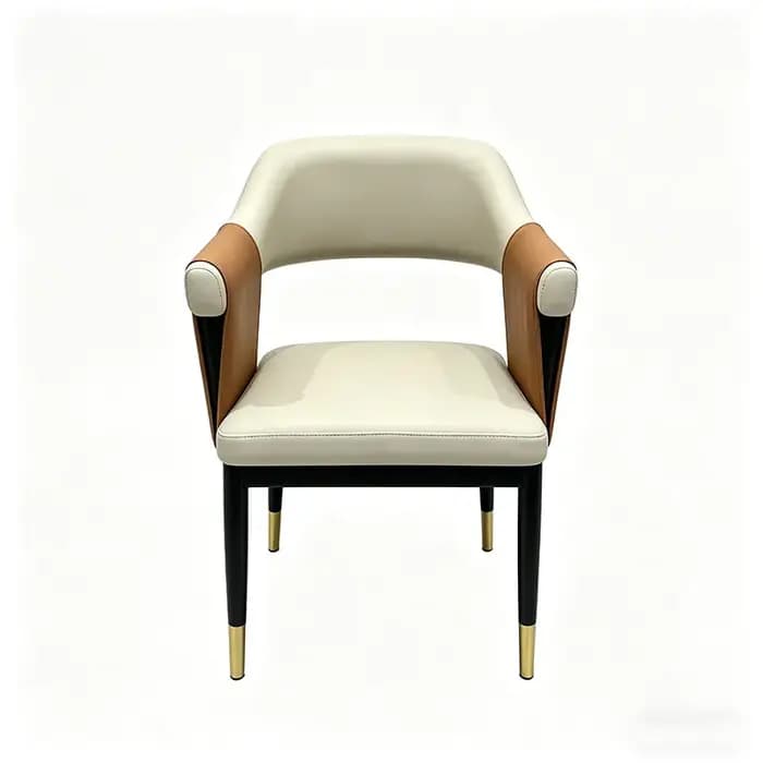 Chaise de salle à manger économique de luxe, chaise d'appoint nordique élégante pour adulte, chaise