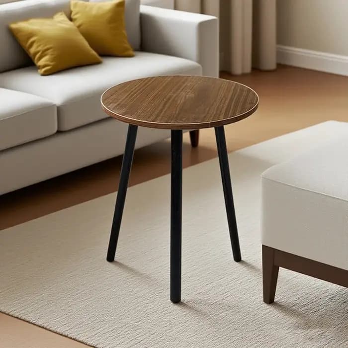 1 petite table basse à rotonité simple.
