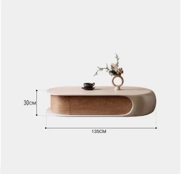 Table basse moderne de rangement, luxe, beauté, élégante, tables basses nordiques, qualité unique, m