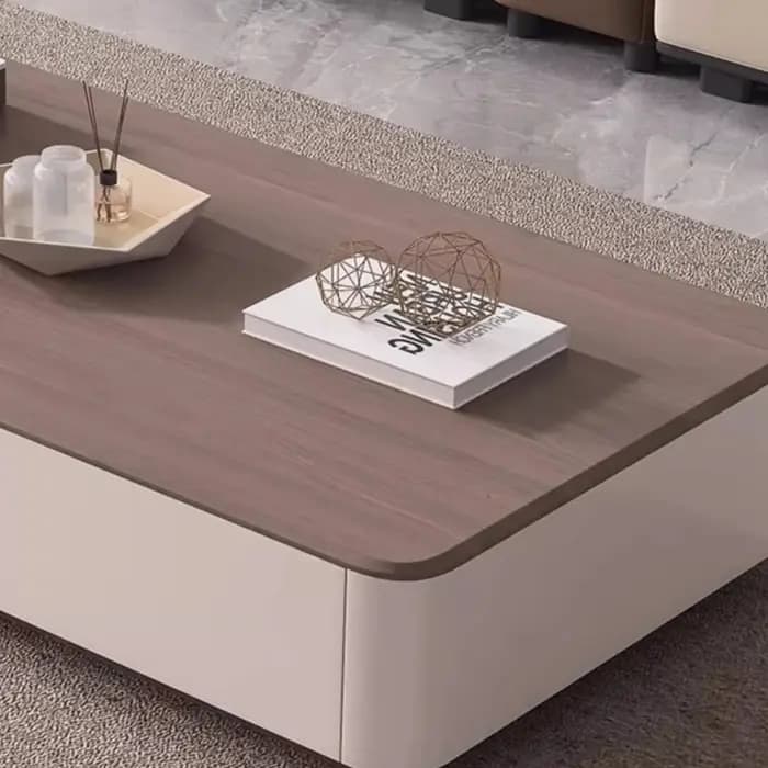 Table basse nordique De luxe