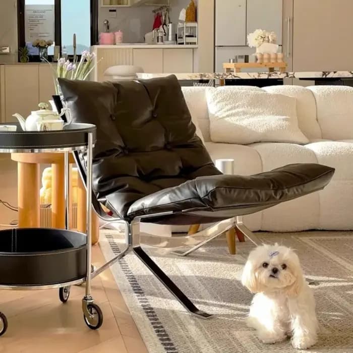 Chaise de salon simple nordique en cuir