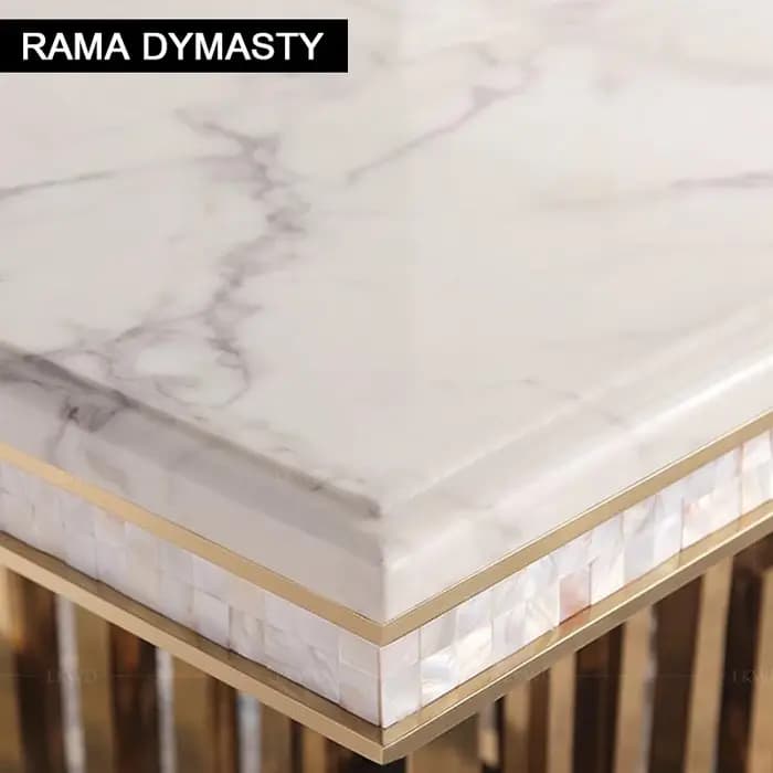 Rama Dymasty-Table à manger rectangulaire en marbre, acier inoxydable, meubles de maison modernes, t