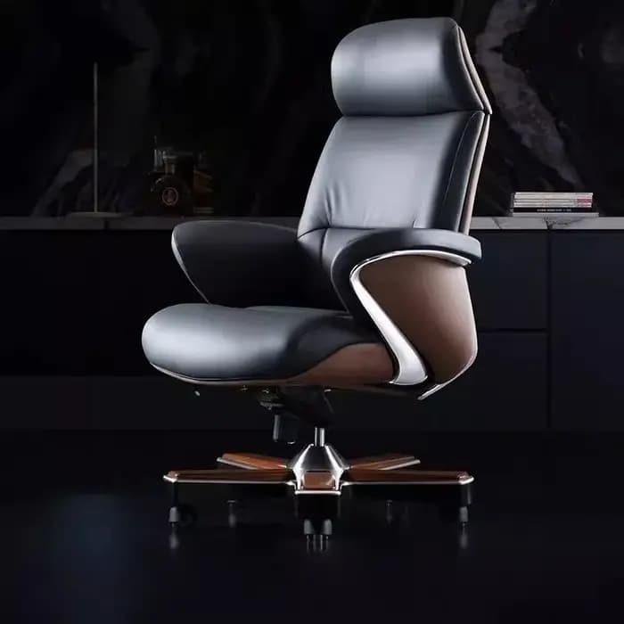 Chaise De rangement De luxe moderne ergonomique Salon esthétique