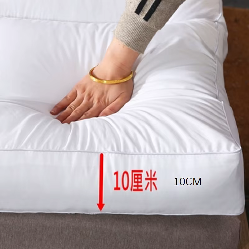 Matelas de sol Tatami épais et confortable de 10cm/lit futon confortable à la mode pour la sieste d'
