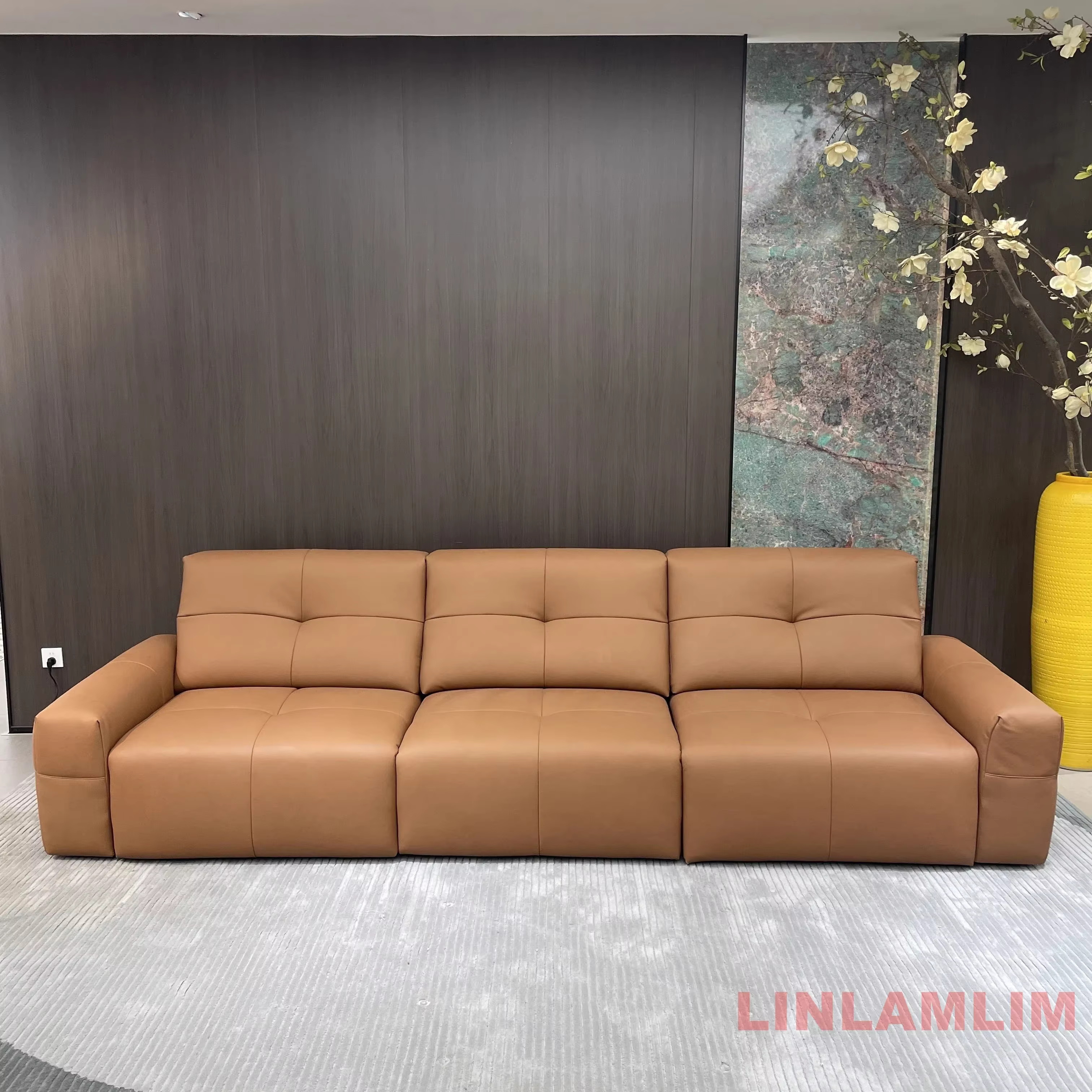 Linlamlim Canapé-lit moderne pour salon - Canapé-lit convertible électrique, canapé en cuir véritabl