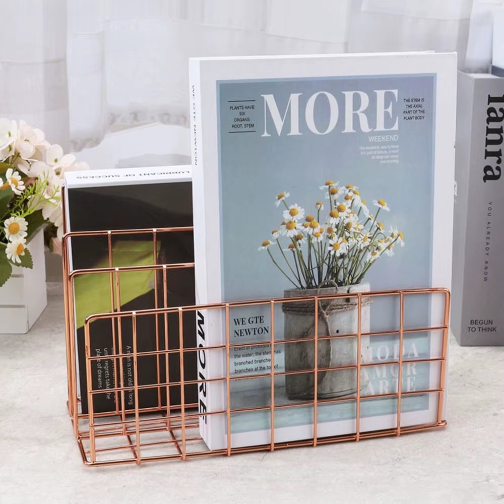 Bibliothèque en fer de Style nordique à la mode, 3 compartiments, organisateur de magazines, support