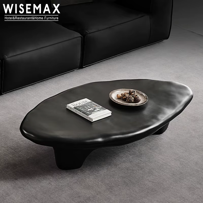 WISEMAX FURNITURE nordique minimaliste salon Art verre fibre renforcé plastique forme spéciale Table